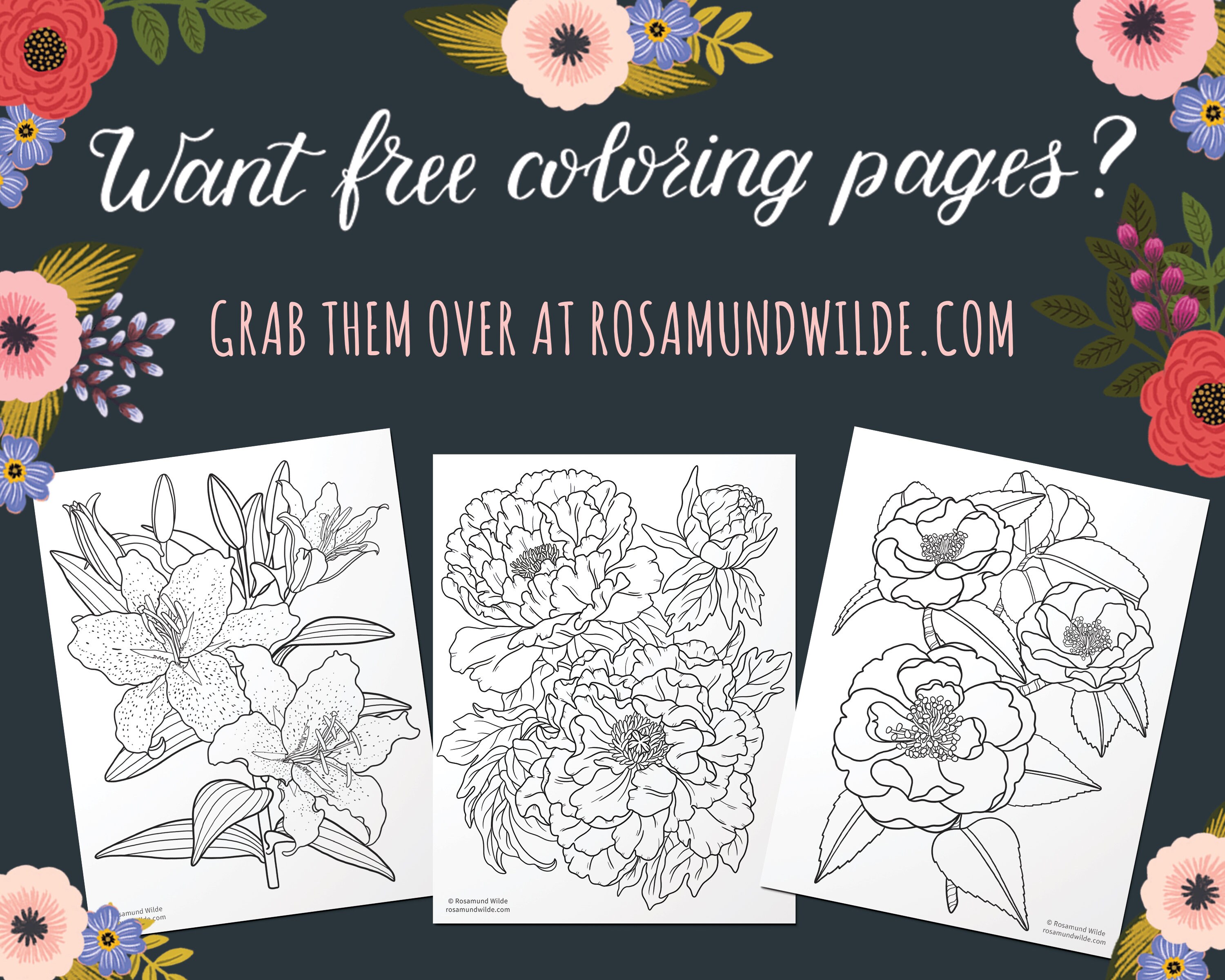 WISTERIA Printable Floral Line Art Adult Coloring Page. Coloring for ...