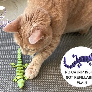 Puede incluir: Un juguete para gatos con forma de lagarto verde y morado. El juguete está hecho de plástico flexible y está segmentado. Un gato está jugando con el juguete. El texto de la imagen dice "NO CATNIP INSIDE NOT REFILLABLE PLAIN".