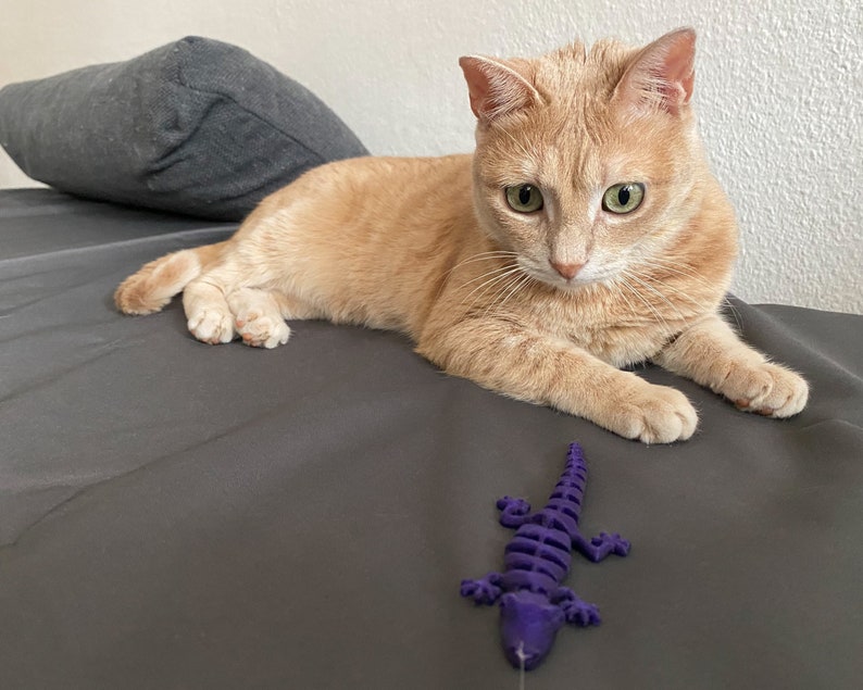 Lizard Cat Toy.