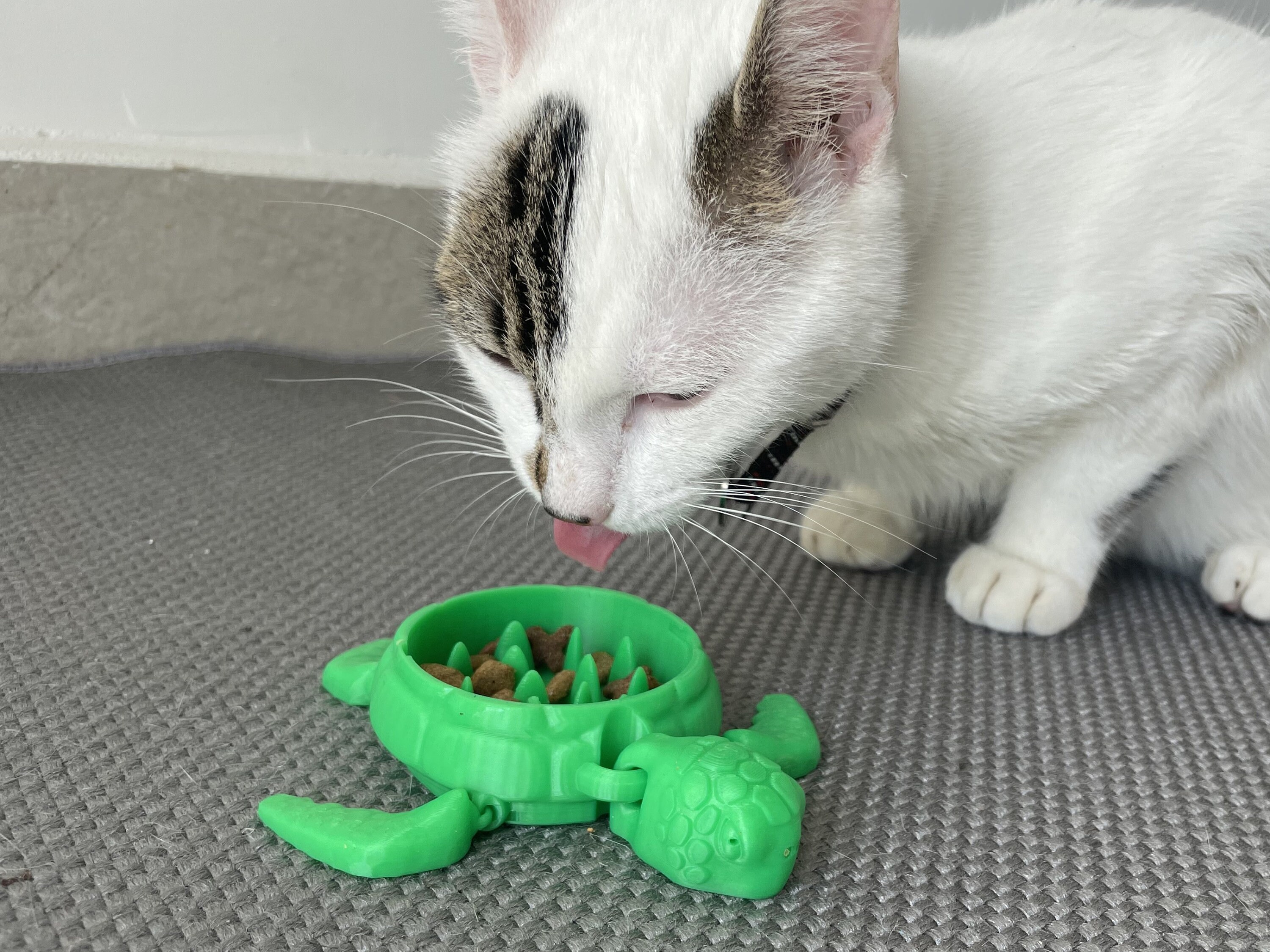 Turtle Toy CATNIP FILLED, Not Refillable Slow Feeder Cat Toy
