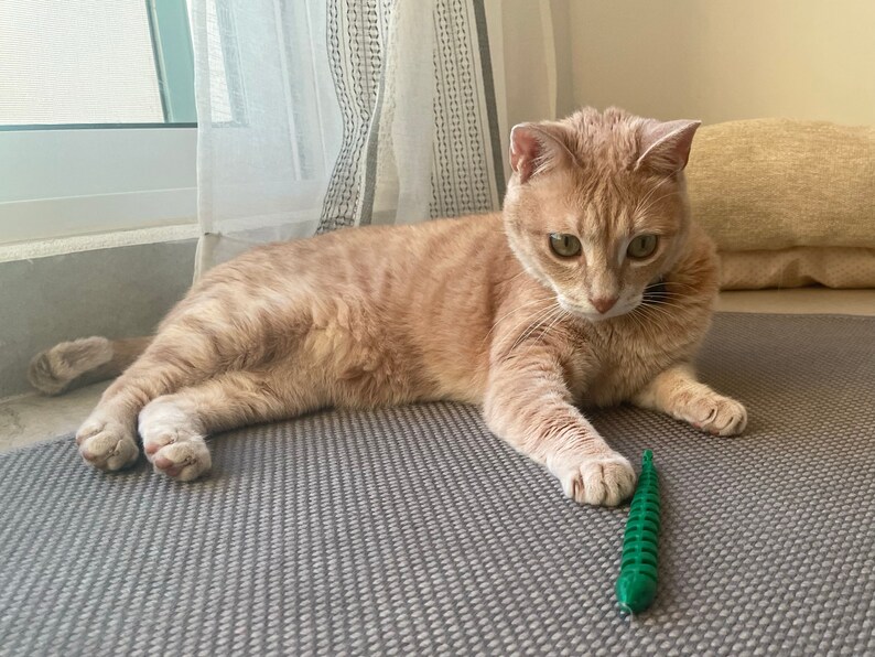 Snake Cat Toy PLAIN //No Catnip Inside //Not Refillable// Articulated and Interactive toy image 6