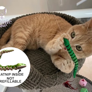 May include: A green catnip toy shaped like a snake with a segmented body. The toy is made of soft, flexible material and is designed to be interactive for cats. The toy is not refillable with catnip. A cat is playing with the toy.