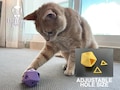 D20 Cat Treat Dice: Interactive Food Dispenser Toy