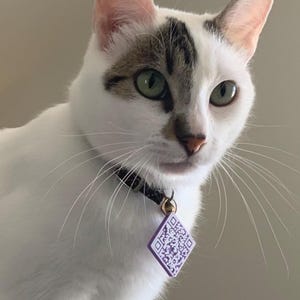 Custom QR Code Pet Tag: Instant Text ID, Waterproof, 3D Printed
