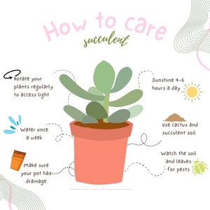 Carte soins succulents, soins succulents, plantes succulentes, cartes de remerciement