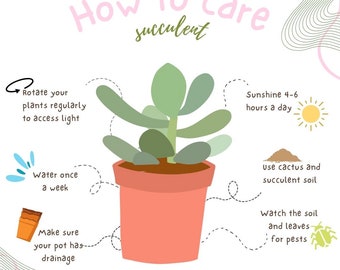 Guía de cuidado de suculentas (svg, png, pdf, jpg)