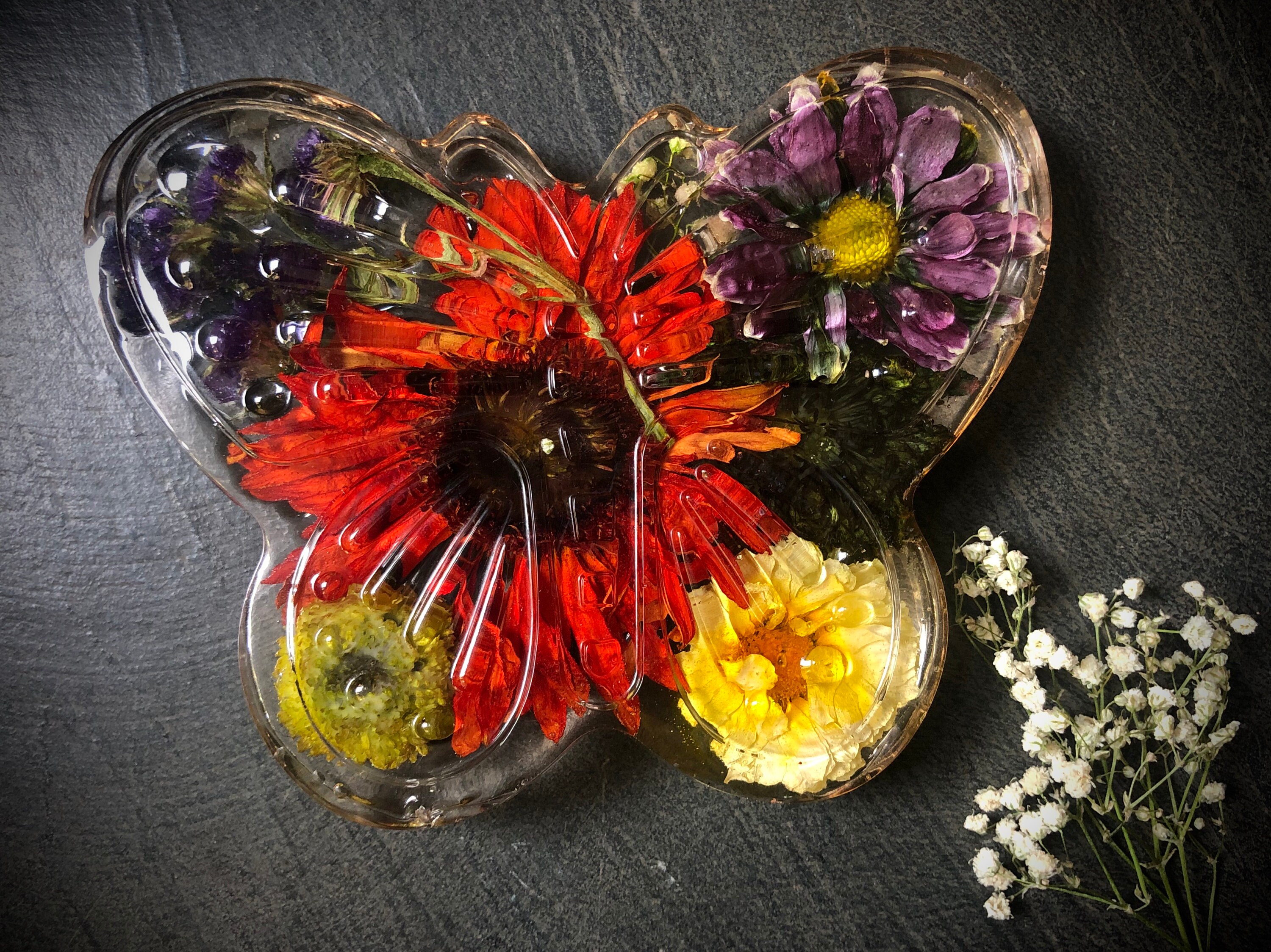 Papillon de Fleur Préservé