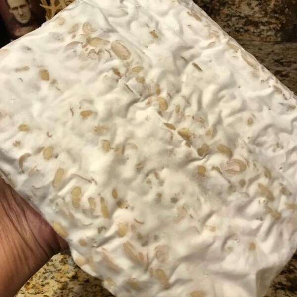 Tempeh Starter Etsy