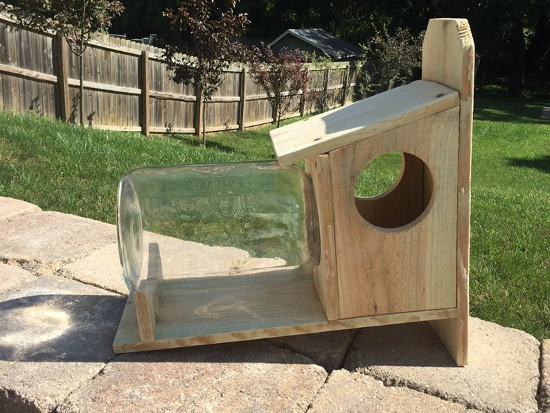 Squirrel Feeder 1 Gallon Glass Jaroptional End Stop Etsy