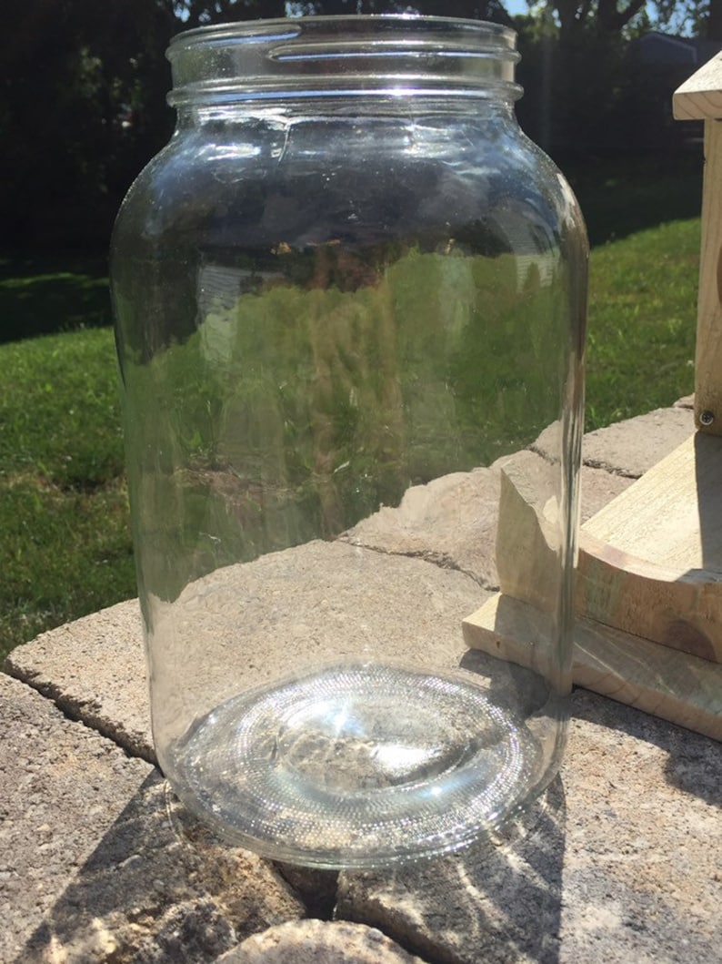Squirrel Feeder 1 Gallon Glass Jaroptional End Stop Etsy