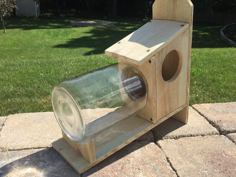 Squirrel Feeder 1 Gallon Glass Jaroptional End Stop Etsy