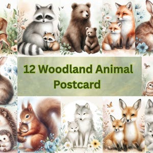 Woodland Clipart Watercolor Woodland Animals Clipart Cute Woodland Animals PNG Nursery Animals Baby Shower Forest Animals Commercial Use Art
