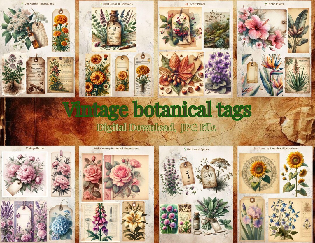 Vintage Botanical Tags | Herbarium Ephemera, Scrapbook (digital ...