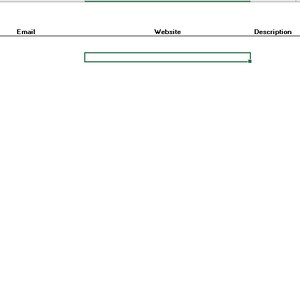 Pu&ograve; includere: Un foglio di calcolo con intestazioni di colonna per Tipo, Nome, Telefono, Email, Sito web, Descrizione, Stato, Data e Dettaglio. Il foglio di calcolo &egrave; vuoto.