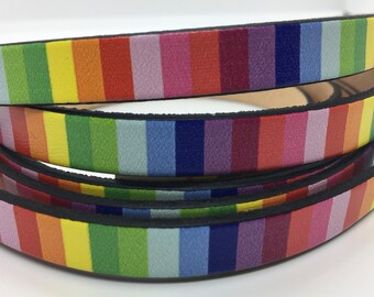 May include: Rainbow striped leather cord with black edging. The cord is rolled up and shows the colorful stripes.