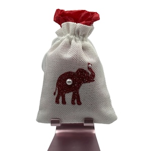 Delta Sigma Theta gift bag