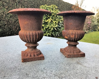 Une paire de charmants vases de jardin - Jardinières - Urne classique