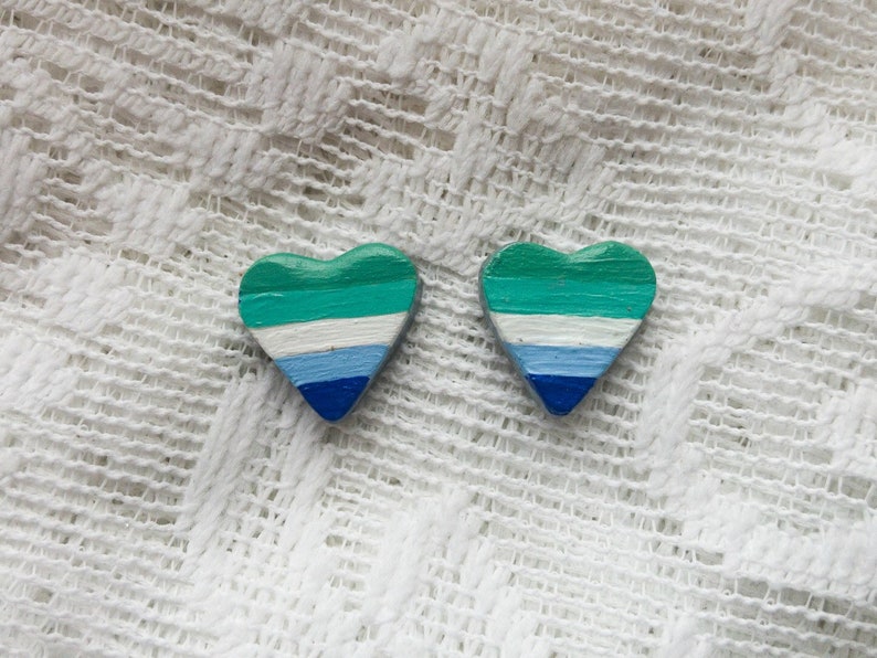 Gay Male Pride Flag Earrings