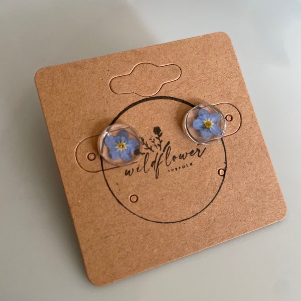 Real forget me not flower small circle stud earrings