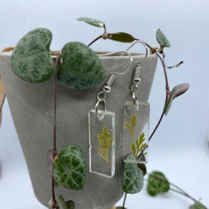 Marked down* Real green leaf dangle earrings