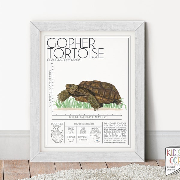 Gopher Tortoise, Watercolor Painted Animals, Zoology Educational Prints, Hand-Painted Reptile Wall Art, Wild Zoo DIGITAL DOWNLOAD, PRINTABLE