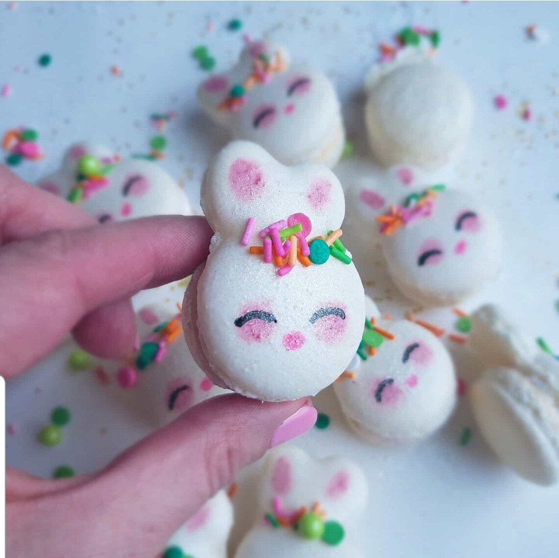 Reuse Macaron Shell Reuse Reduce Macarons Recipe ~ Reuse Bad Macaron Shells - Etsy