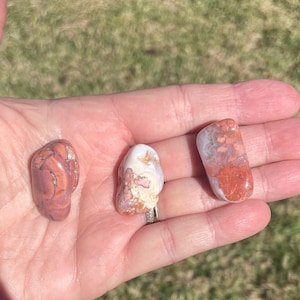 May include: Three polished stones in shades of red, white, and brown are displayed in a hand. The stones have unique patterns and textures, with a smooth, glossy finish. The background is blurred, suggesting an outdoor setting.