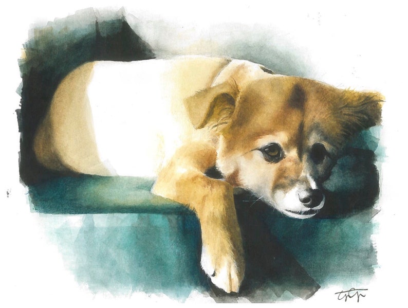 Watercolor Painting cat portrait Watercolor Pet Portrait dog portrait ...