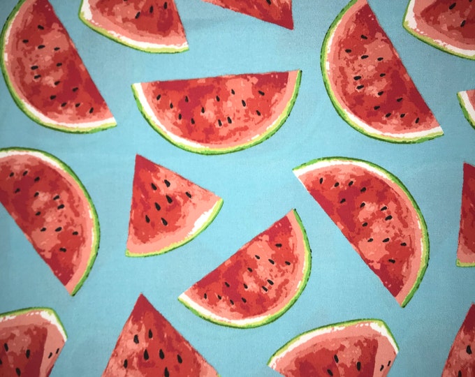 Watermelon Slices Lined Revisable Tote BagOvernight BagAccessory BagSchool Bag