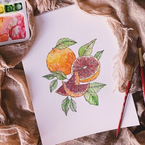 Watercolor Grapefruit Print/Fruit Art Print/Watercolor Fruit/Grapefruit Print/Fine Art Fruit Print/Kitchen Art/Fruit Wall Art