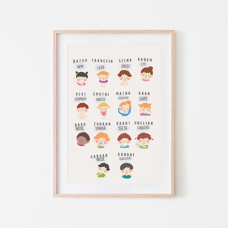 May include: A framed print with a colourful illustration of a child's body parts, labelled in Hindi. The labels include "arm," "legs," "chest," "eye," "stomach," "knees," "forehead," "ears," "nose," "tongue," "teeth," "fingers," "neck," and "shoulders."