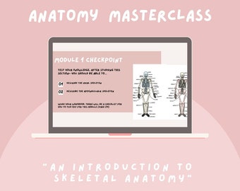 Anatomy Skeletal MSK Masterclass  // physiotherapy, physical therapist, musculoskeletal anatomy, nursing student, medical student, bones