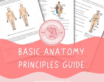 Basic Anatomy Principles Guide // PDF, Digital Download, Study Guide, Book, Revision, Terms, Sports, Physio, Medicine, Student