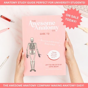 Musculoskeletal (MSK) Anatomy Revision Guide Book // Undergraduate, Student, Medical, Physiotherapy, Healthcare, Study, Nursing, Gift