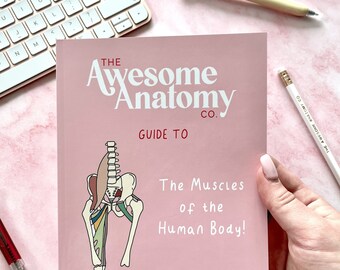 A5 Pocket Revision Guide To The Muscles Of The Human Body // Medicine, Student, Physiotherapist, Sports Therapy, Anatomy, Muscles