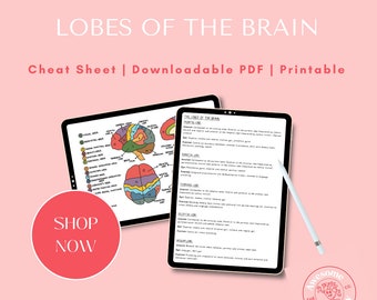 Cheat Sheet on Lobes of the Brain // PDF Download, A4 Sheet, Psychology, Physio, Doctor, Medical Student, Biology, MSK, Human