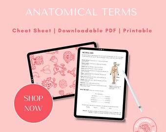 Cheat Sheet on Anatomical and Movement Terminology // PDF Download, A4 Sheet, Nursing, Physiotherapy, Doctor, Medical Student, Biology