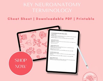Cheat Sheet on Key Terms of Neuroanatomy // PDF Download, A4 Sheet, Psychology, Physio, Doctor, Medical Student, Biology, MSK, Human