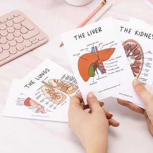 Anatomy And Physiology Flashcards // medical student, a level biology, biology notes, anatomy revision, exam study, anatomy flashcards