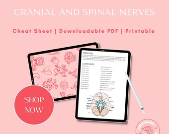 Cheat Sheet on Cranial and Spinal Nerves // PDF Download, A4 Sheet, Psychology, Physio, Doctor, Medical Student, Biology, Neuroscience