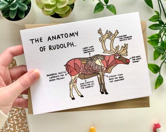 Christmas Card 5x7" The Anatomy Of Rudolph // Rudolph The Red Nose Reindeer, Gift for Vet, Medical, X-mas, Merry, Unique, Novelty, Animal