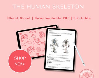 Cheat Sheet on The Human Skeleton // PDF Download, A4 Sheet, Psychology, Physio, Doctor, Medical Student, Biology, Neuro, Bones, Osteology