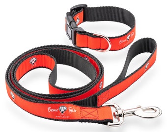 Pet leash and collar set