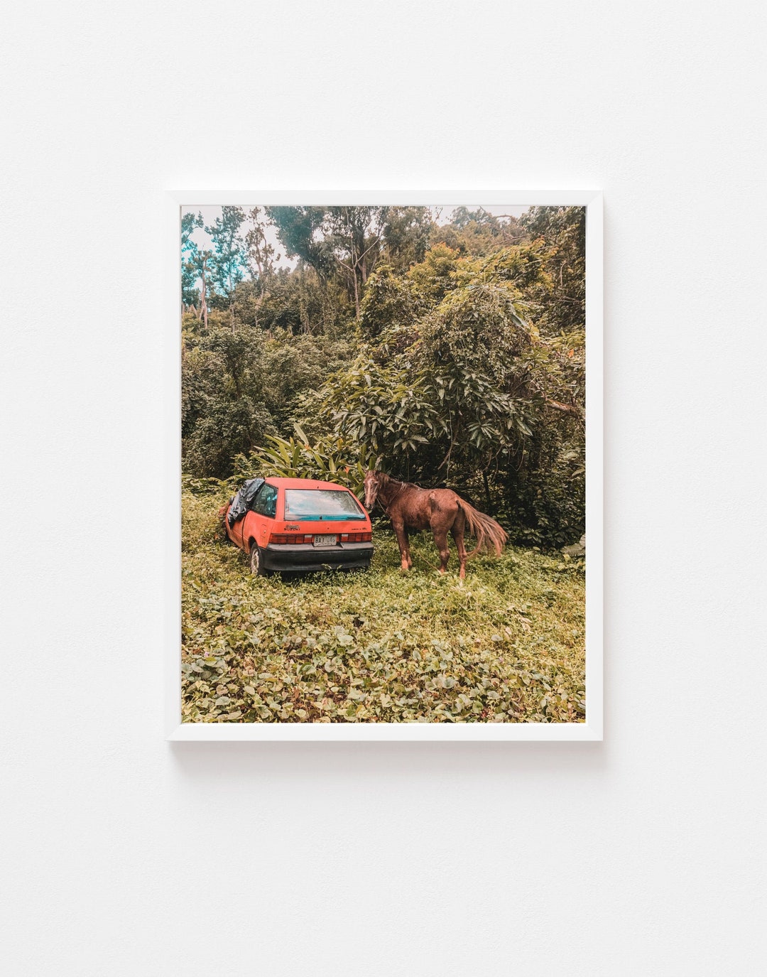 Abandoned Car Bayamon DIGITAL Puerto Rico San (Instant Download) Etsy