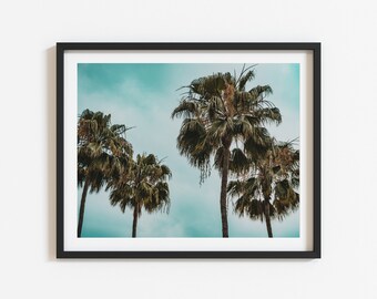 Palm trees, California Coast Wall Art Print, The Big Sur, Pacific Coast Highway 1 Teal and Orange
