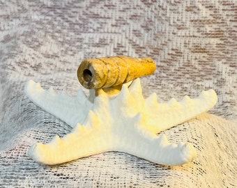 May include: A small, brown, cylindrical stone object with a hole through it, resting on a white starfish-shaped base.