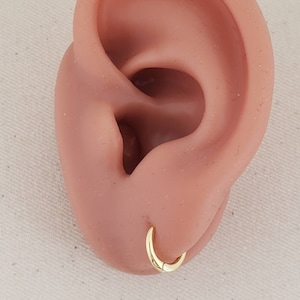 May include: A gold hoop earring in a fake ear. The hoop is thin and has a smooth finish.