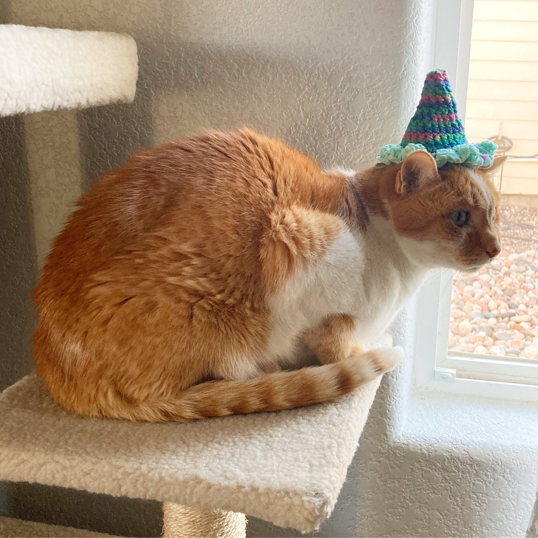 Crochet Birthday Hat for Cats and Dogs. Pet Birthday Hat Etsy