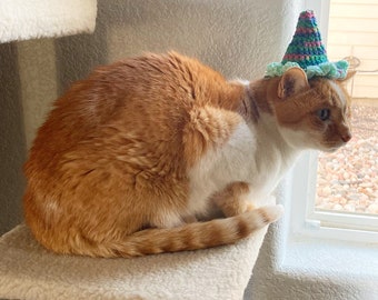 Crochet Birthday Hat for Cats and Dogs. Pet Birthday Hat