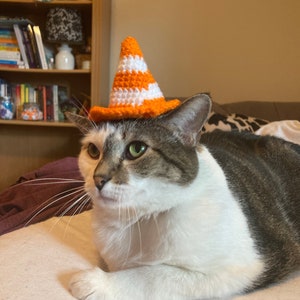 Crochet Costume Hat for Pets